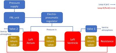 In vitro benchtop mock circulatory loop for heart failure with preserved ejection fraction emulation